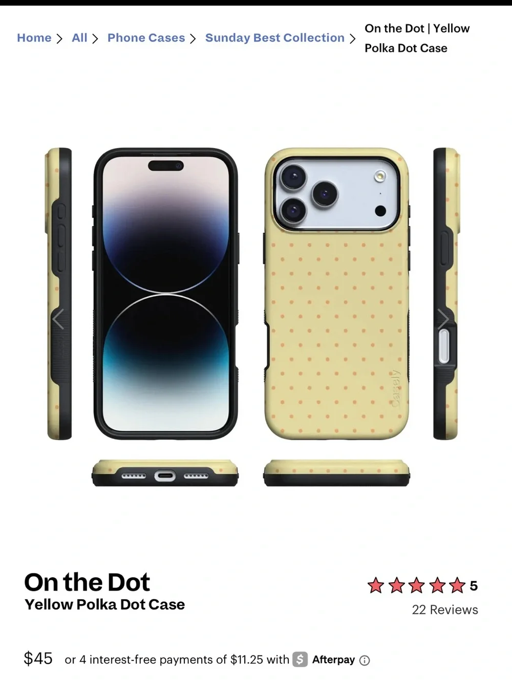 Casely - on the dot case
